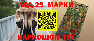 гашик Новозыбков