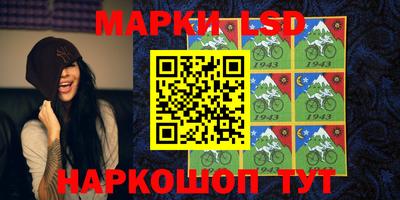 гашик Новозыбков