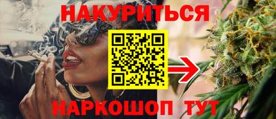 гашик Новозыбков