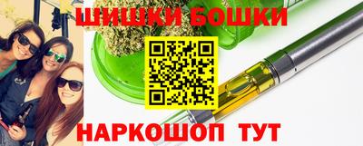 гашик Новозыбков
