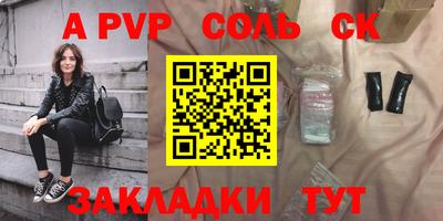гашик Новозыбков