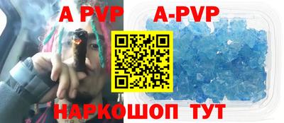 гашик Новозыбков