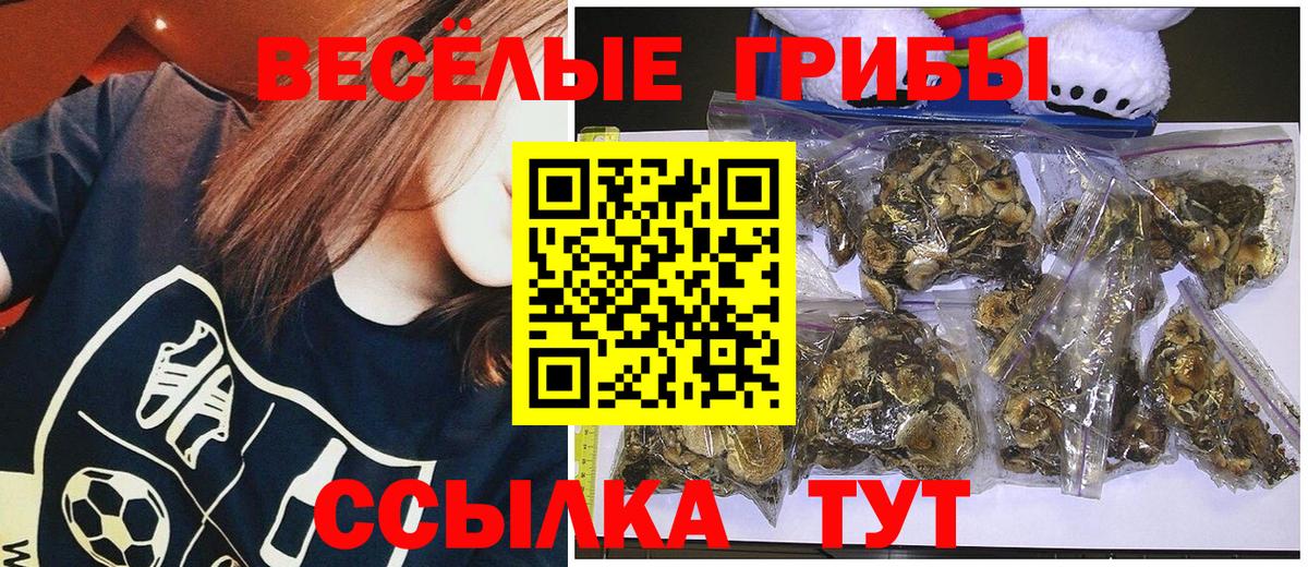 Галлюциногенные грибы Psilocybe  Псилоцибиновые грибы MAGIC MUSHROOMS  Вход с VPN  Сорочинск 